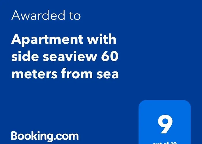 With Side Seaview 60 Meters From Sea 公寓 托雷维耶哈